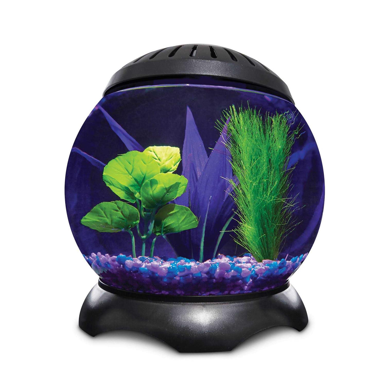 Imagitarium 1.3 Gallon Lotus Tank - Nail Gallerys