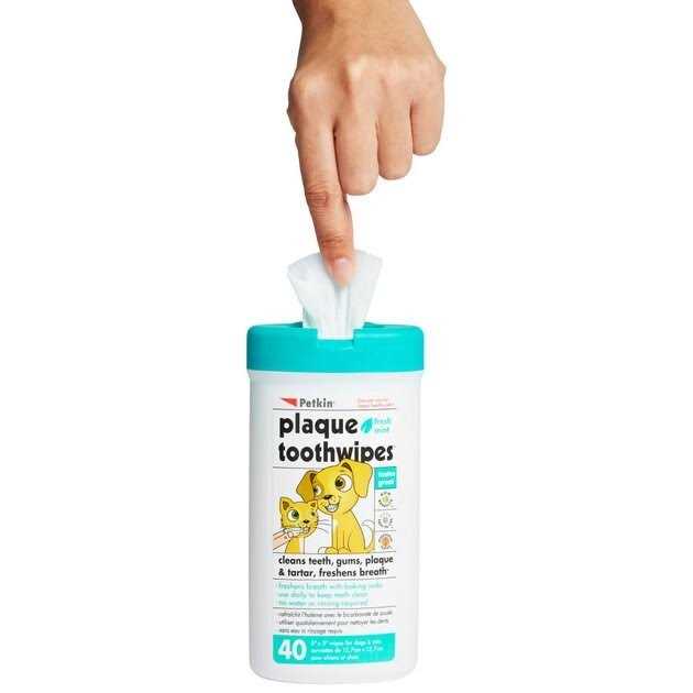 Petkin Tooth Wipes - Nail Gallerys