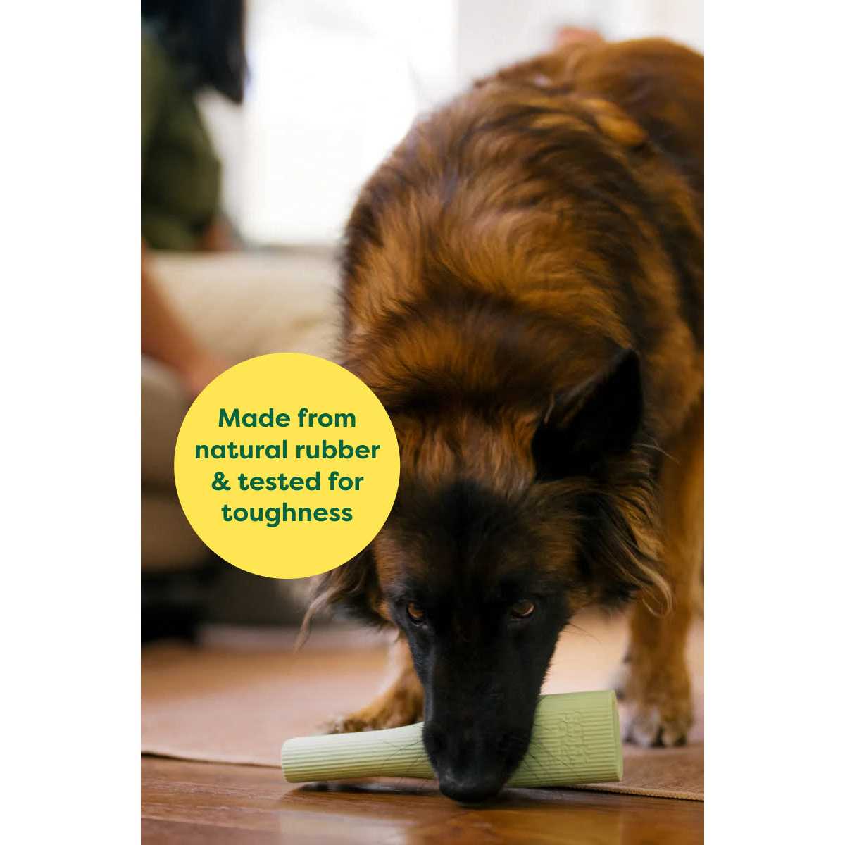 Earth Rated Rubber Chew Dog Toy - Nail Gallerys