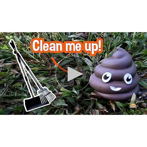 Bodhi Dog Metal Long Handle Tray and Rake Pooper Scooper Small, Medium, Large, XL Pets - Nail Gallerys