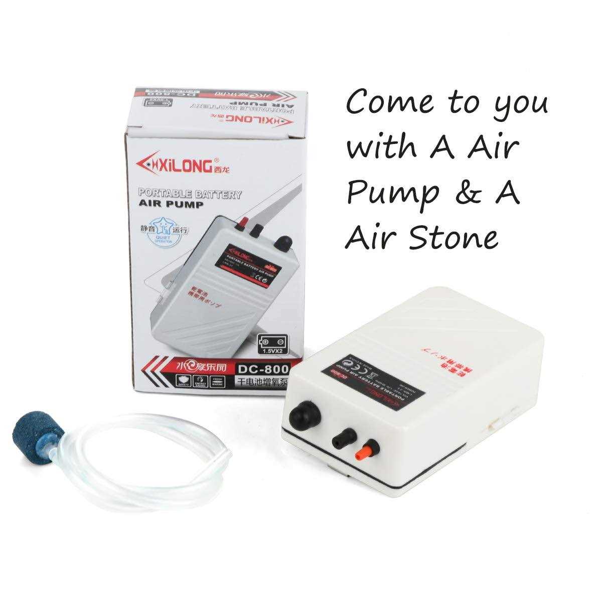 fulhengy Battery Aquarium Air Pump Quiet DC-800 Backup Fish Tank Air Bubbler - Nail Gallerys