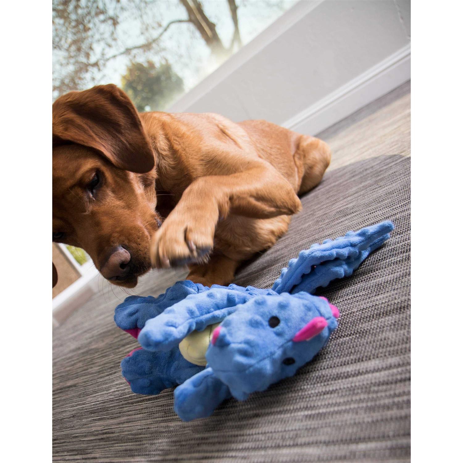 goDog Chew Guard Dog Toy - Nail Gallerys