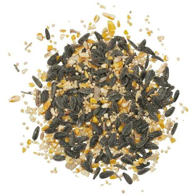 Kaytee Songbird Wild Bird Food - Nail Gallerys