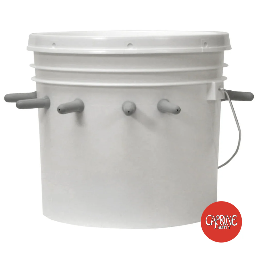 Caprine Feeding Outfit - Nail Gallerys