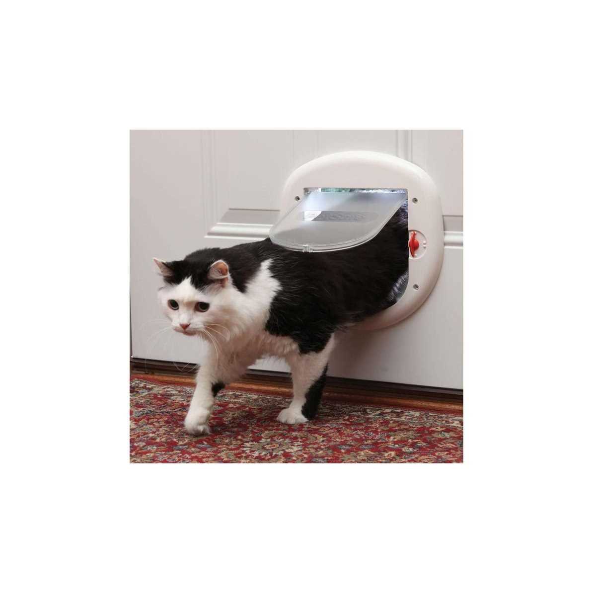 4-Way Locking Big Cat Door PetSafe - Nail Gallerys