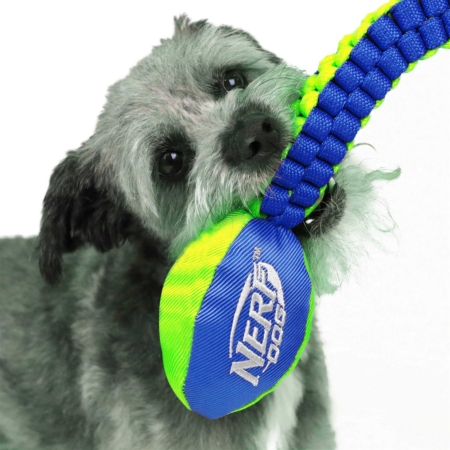 Nerf Vortex Chain Tug Dog Toy - Nail Gallerys