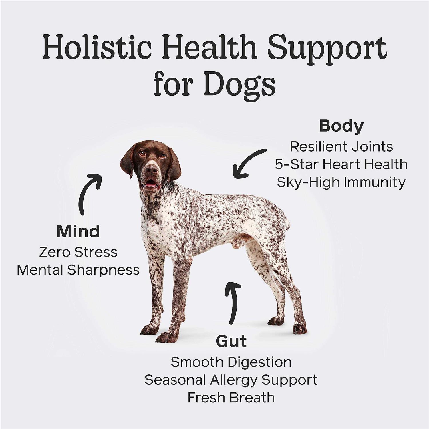 The One by Front Of The Pack Dog - Nail Gallerys