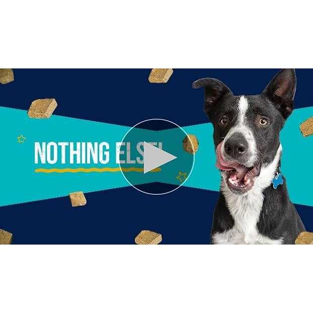 Stewart Chicken Freeze Dried Dog Treats - Nail Gallerys