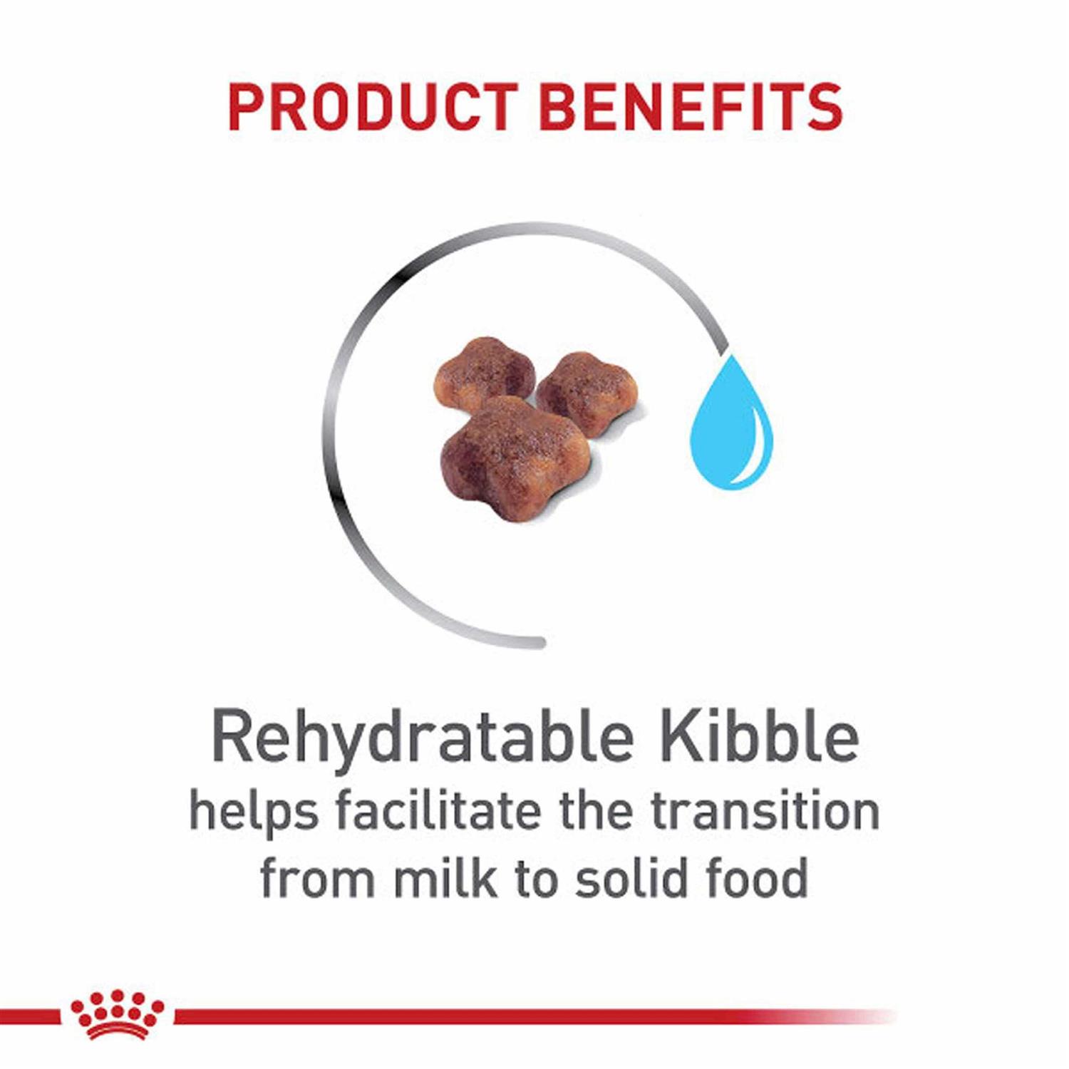 Royal Canin Mother & Baby Dry Cat Food - Nail Gallerys