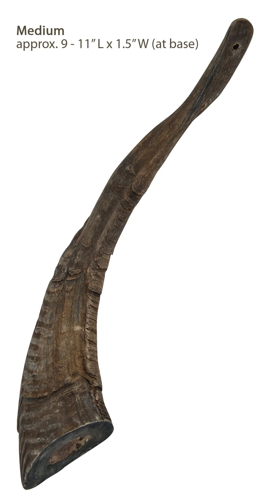 Gobi Goat Horn Natural Dog Chew - Nail Gallerys