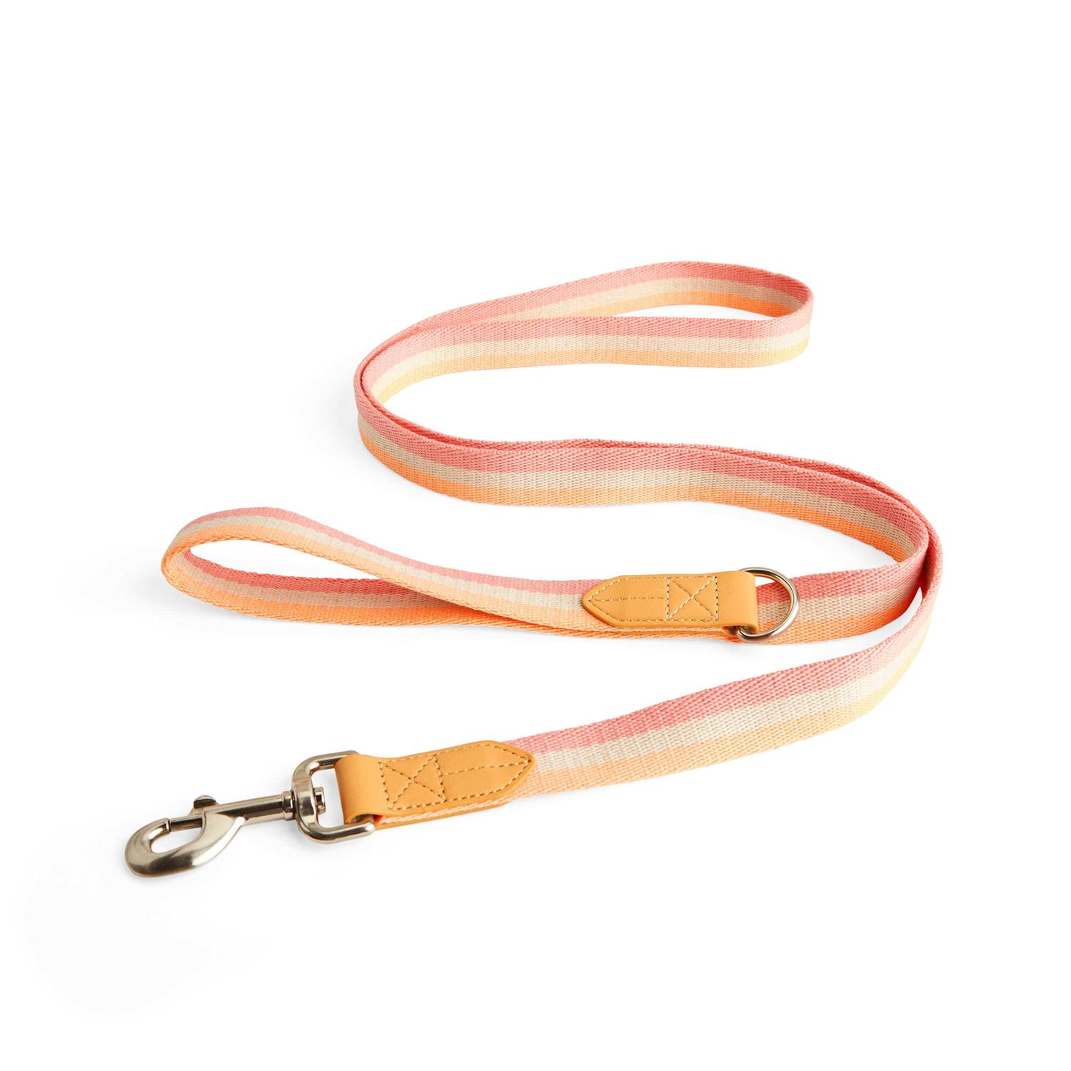YOULY Creamsicle Dog Leash - Nail Gallerys