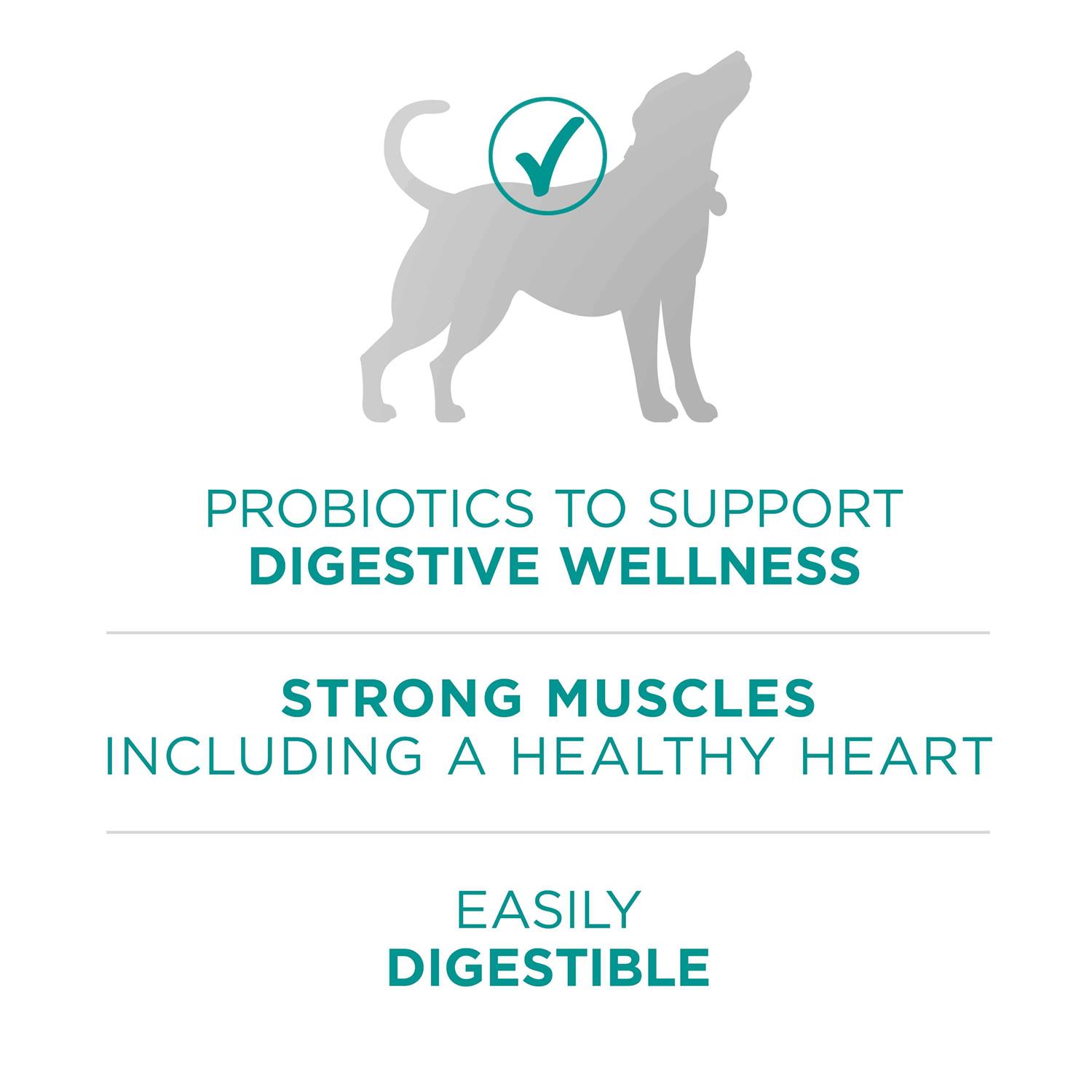 Purina ONE Digestive Health Dry Dog Food - Nail Gallerys