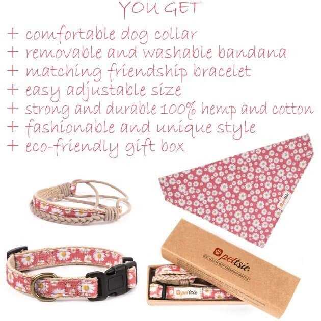 Pettsie Matching Dog Collar, Bandana and Owner Friendship Bracelet Gift Box Included - Nail Gallerys