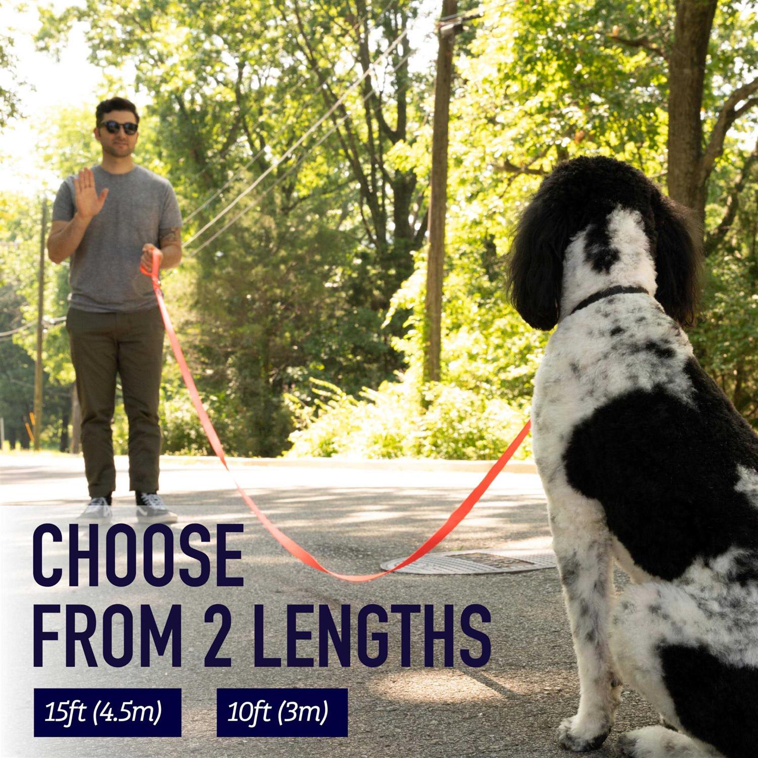 Leashboss 10 Foot Dog Leash with Padded Handle - Nail Gallerys