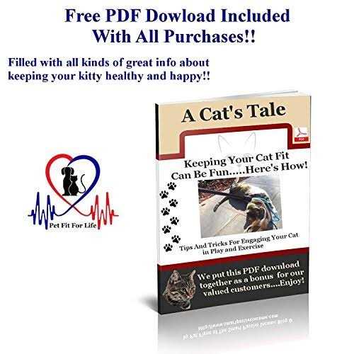 Pet Fit For Life Cat Wand Toy 5-Piece Worm Teaser & Exerciser - Nail Gallerys