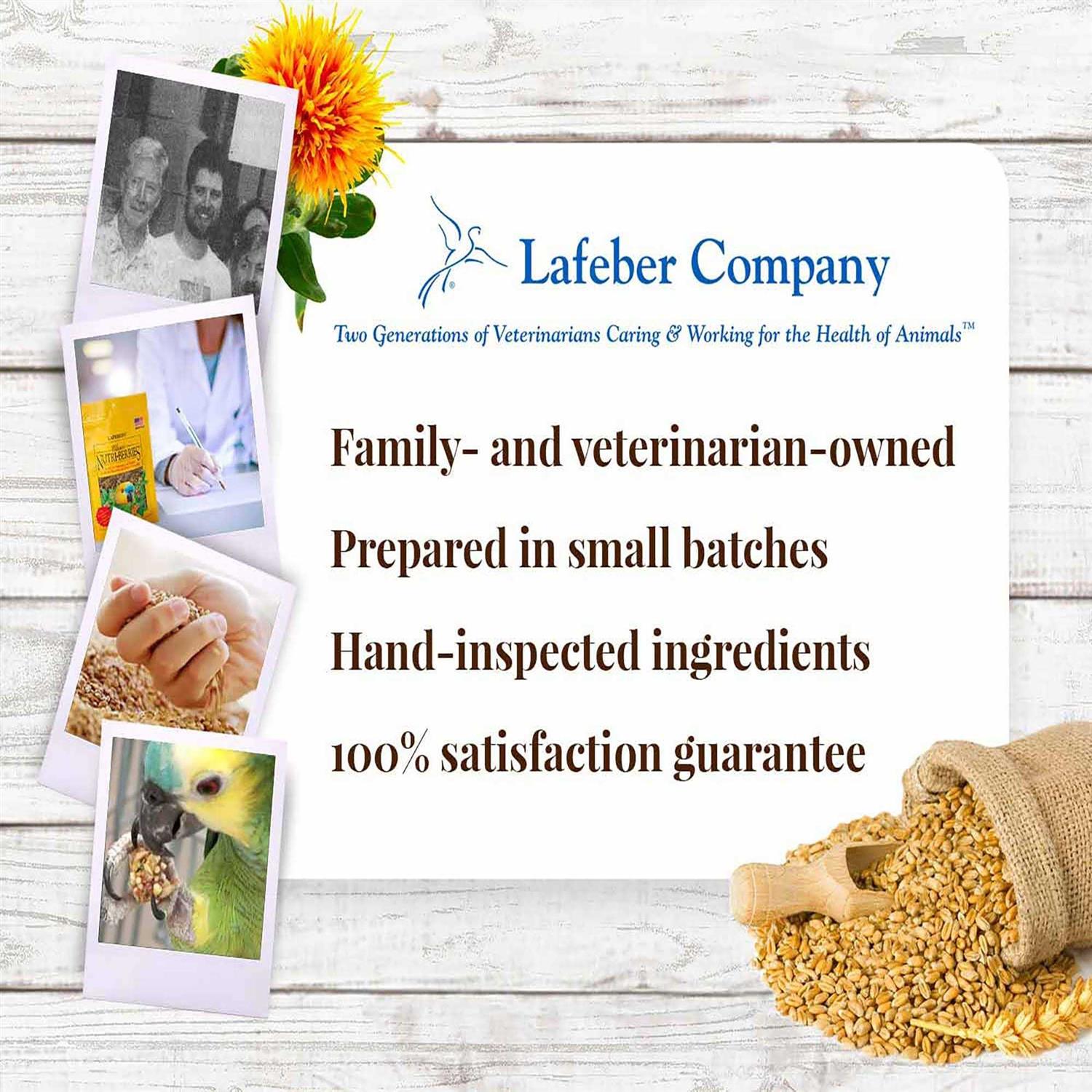 Lafeber Classic Nutri Berries Food - Nail Gallerys