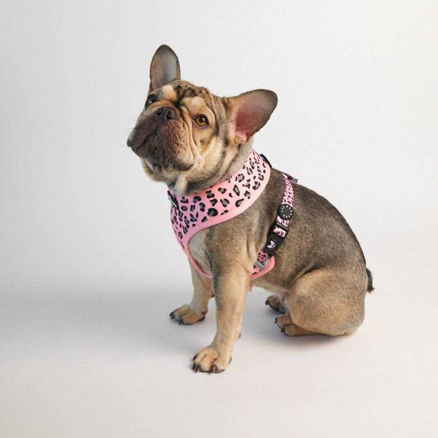Lil Monster Pets Neoprene Reversible Dog Harness - Nail Gallerys