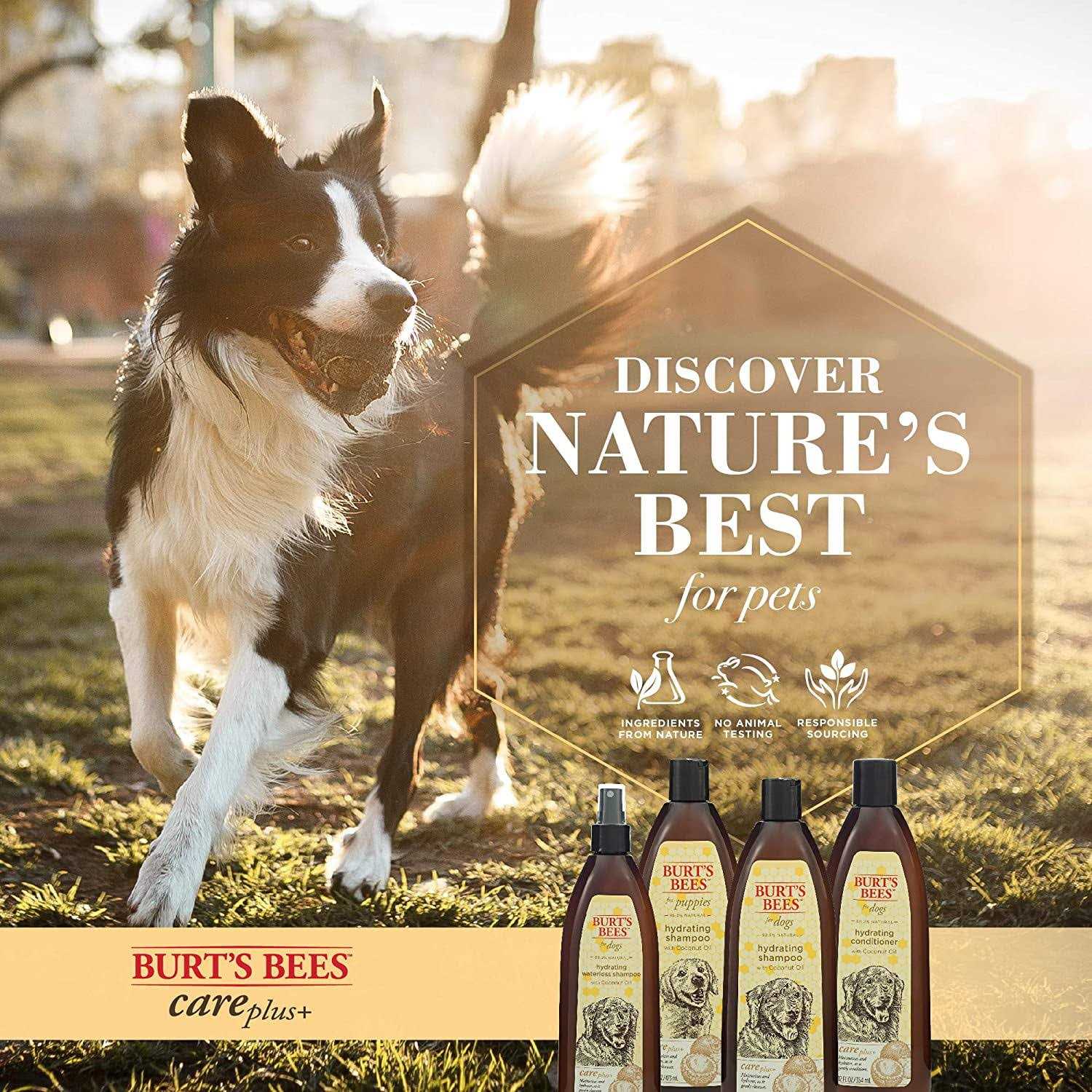 Burt’s Bees Care Plus+ Hydrating Coconut Oil Shampoo - Nail Gallerys