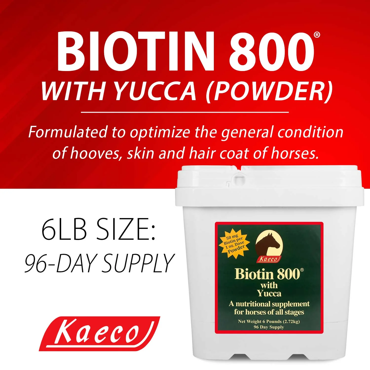Biotin 800 Powder with Yucca - Nail Gallerys