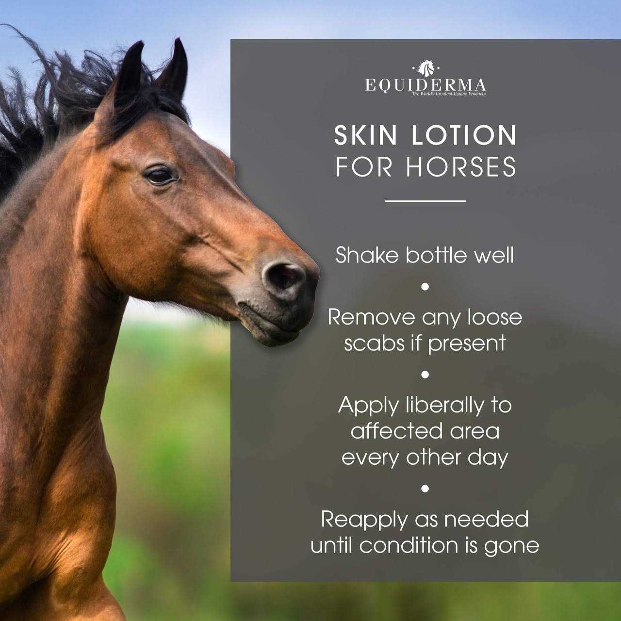Equiderma Skin Lotion - Nail Gallerys