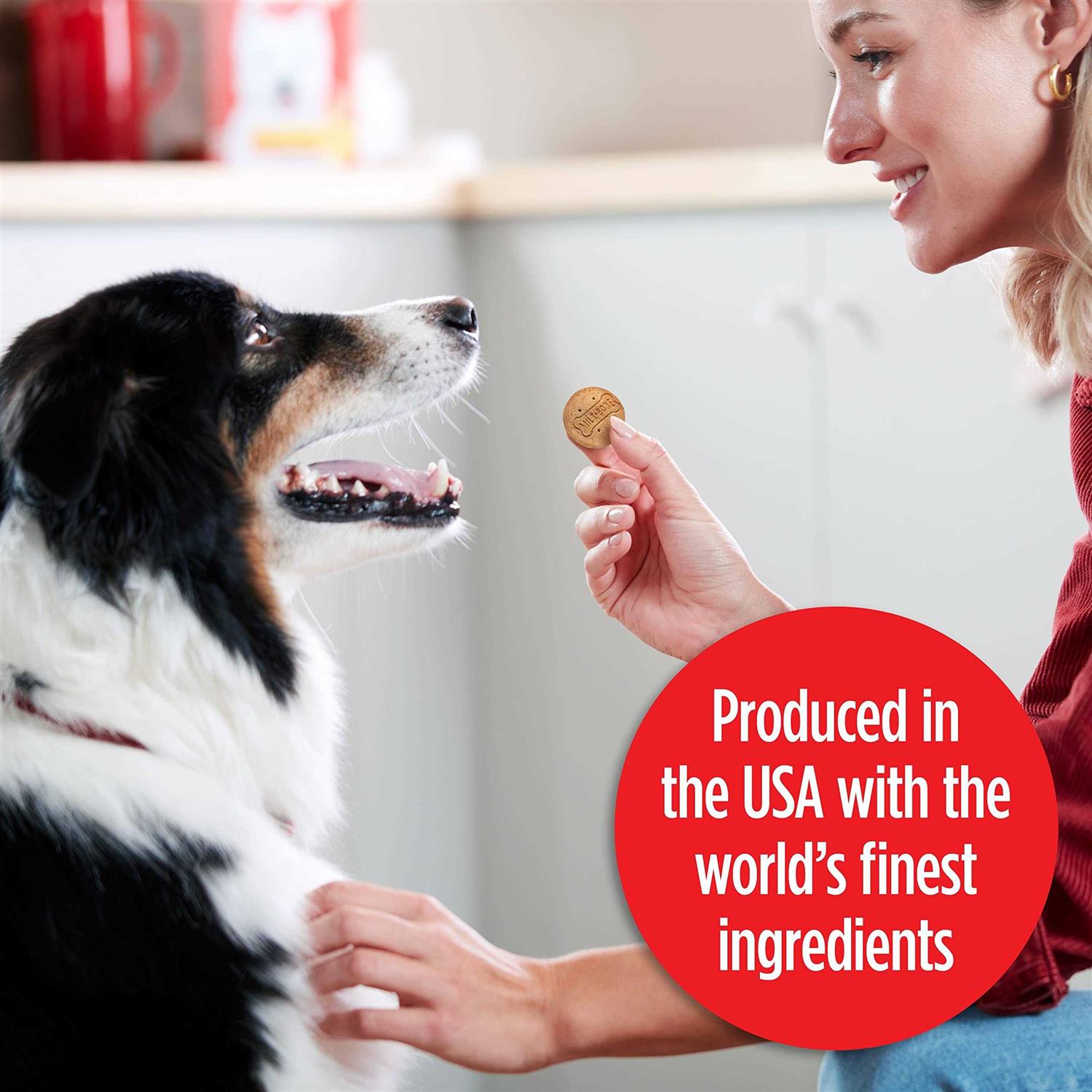 Milk-Bone Stacked Molasses & Peanut Butter Dog Treats - Nail Gallerys