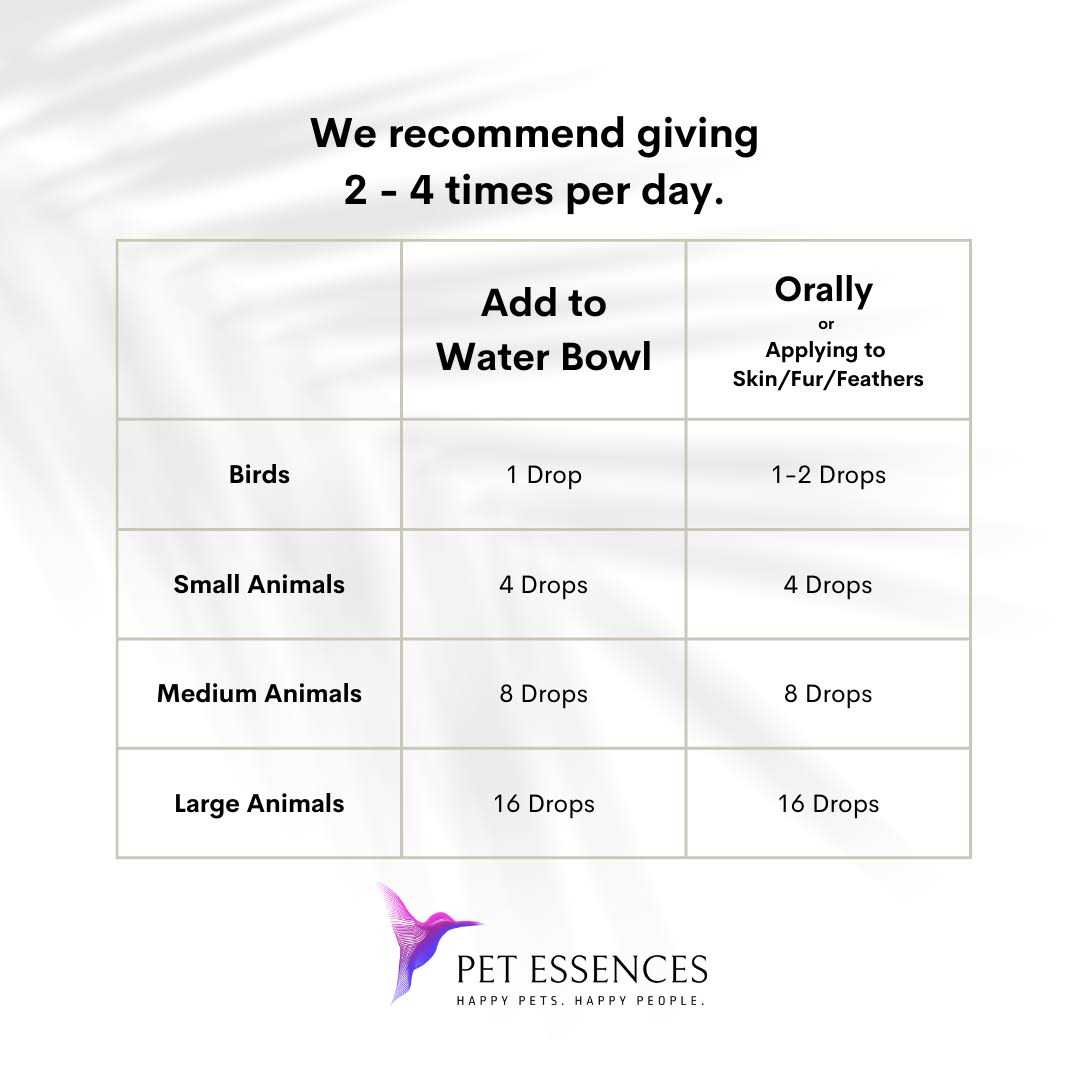 Pet Essences Seizures - Nail Gallerys