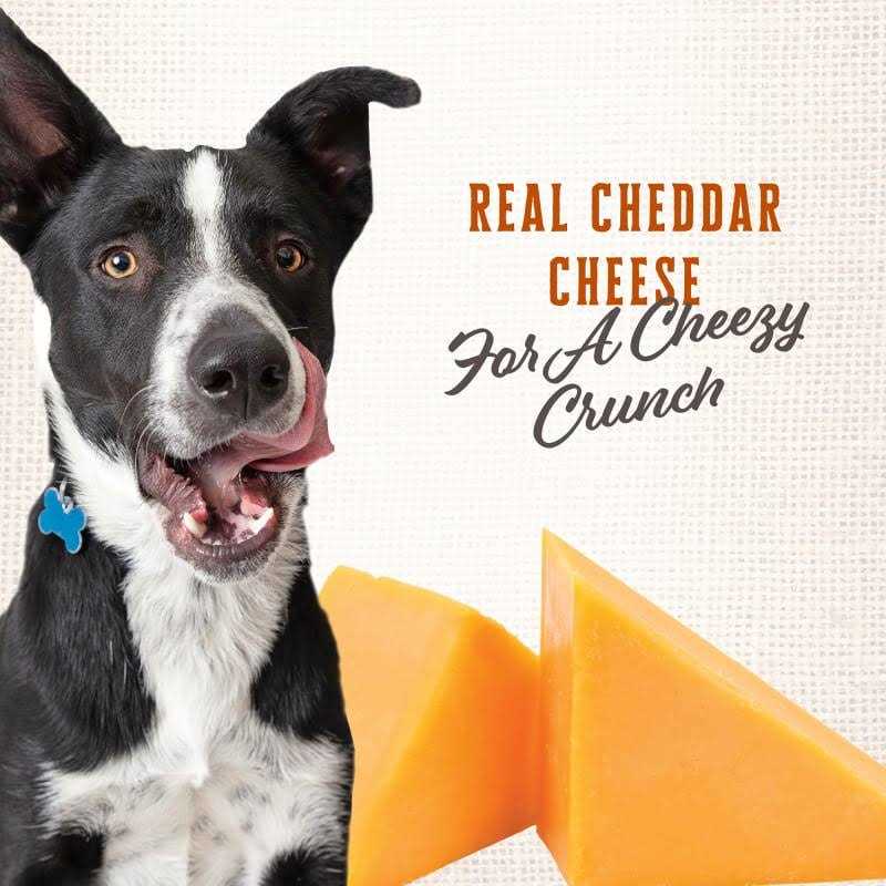 Wholesomes Gourmet Rewards Cheezy Bites Dog Treats - Nail Gallerys