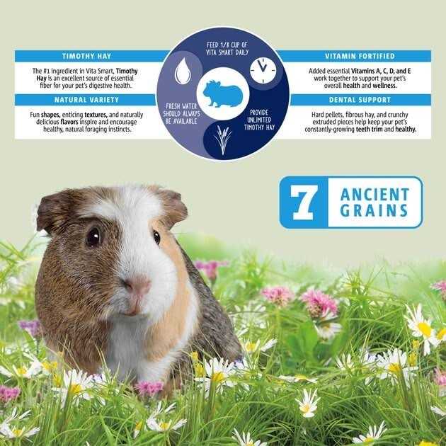 Vitakraft Vita Smart Blend Guinea Pig Food - Nail Gallerys