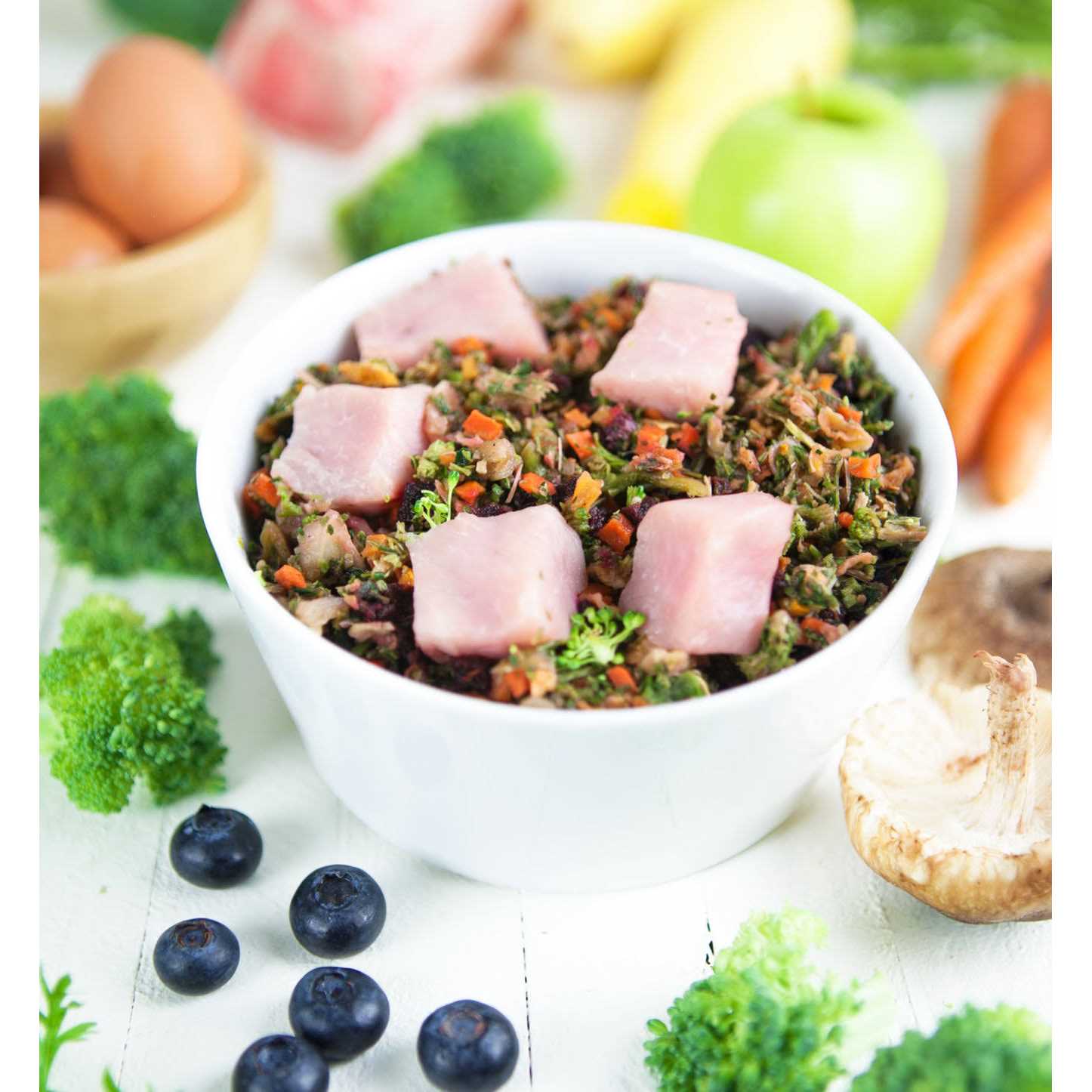 Dr. Harvey’s Raw Vibrance Dog Food - Nail Gallerys