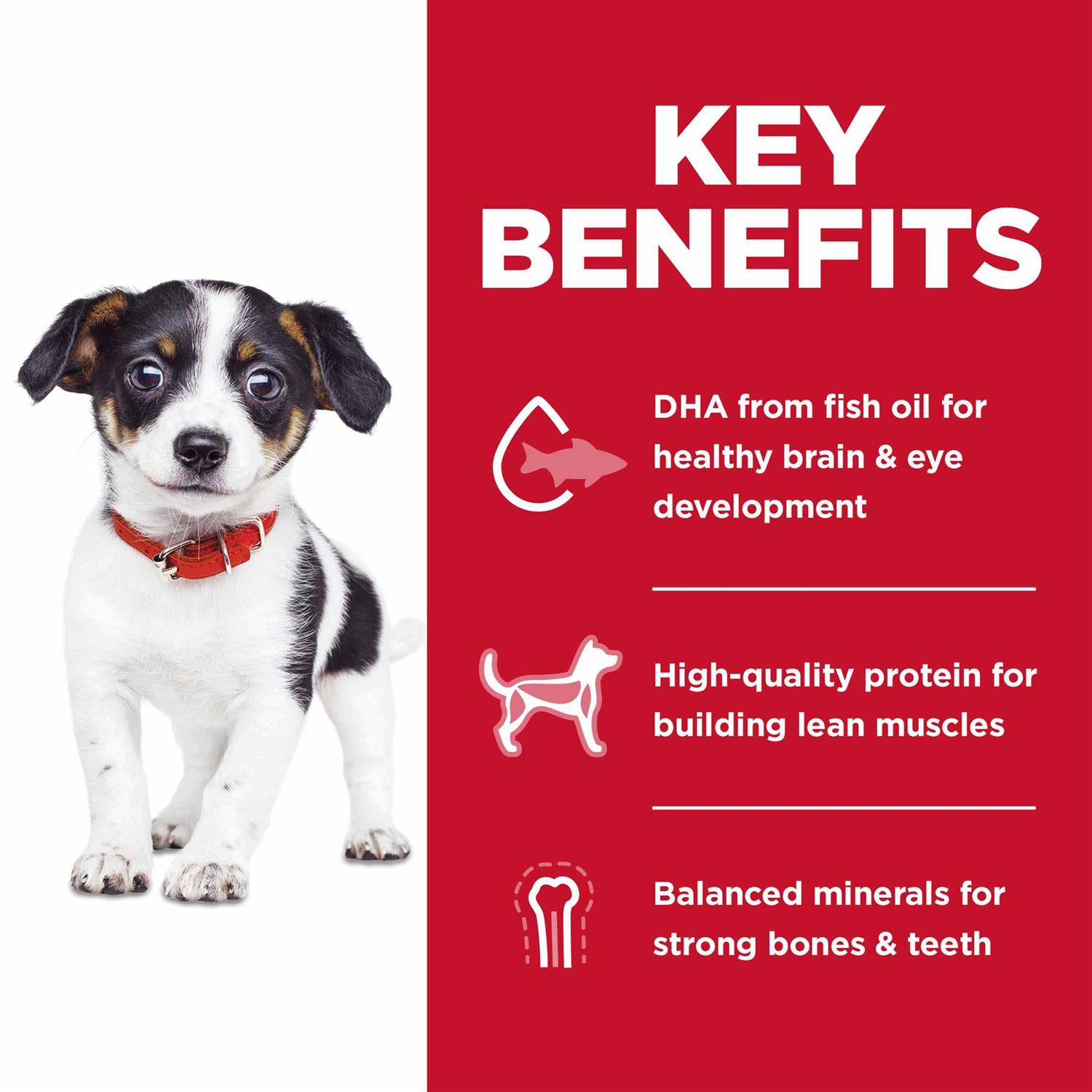 Hill’s Science Diet Puppy No Corn, Wheat or Soy Dry Dog Food - Nail Gallerys