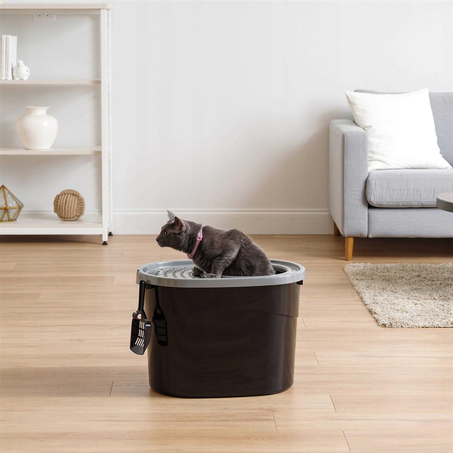 Iris Ohyama Top Entry Cat Litter Box - Nail Gallerys
