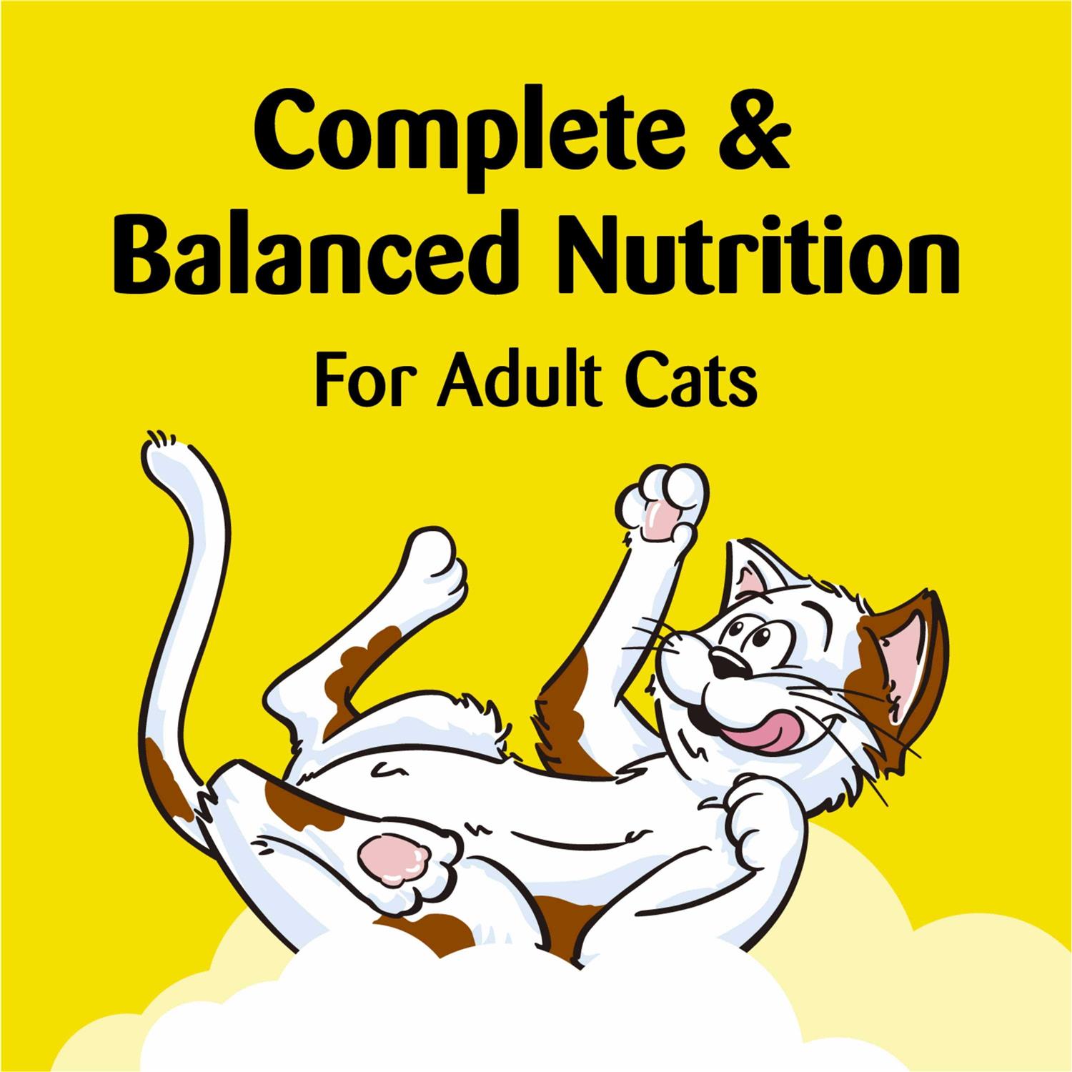 Temptations ShakeUps Crunchy and Soft Cat Treats - Nail Gallerys