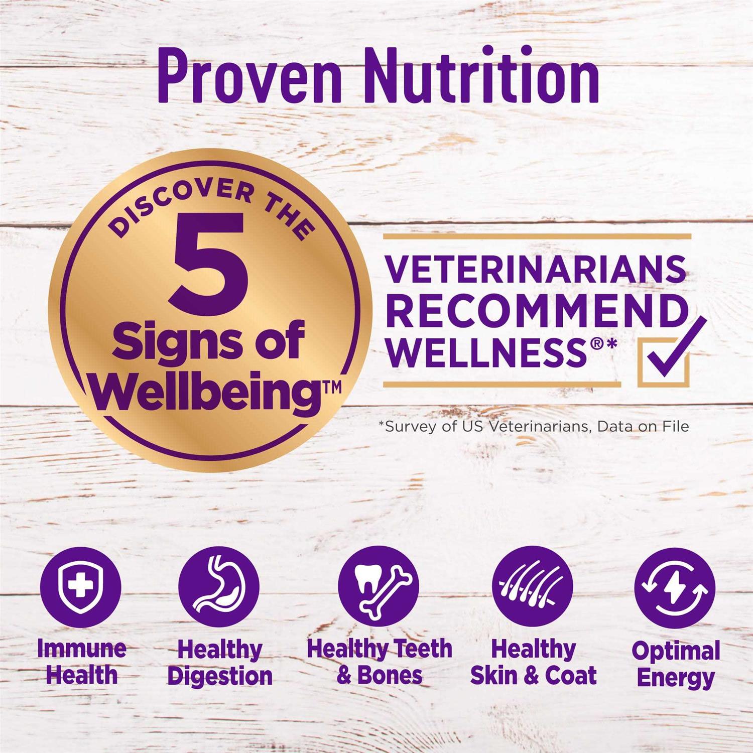 Wellness Grain Free Complete Health Small Breed Deboned Turkey Chicken & Salmon Dry Dog Food - Nail Gallerys