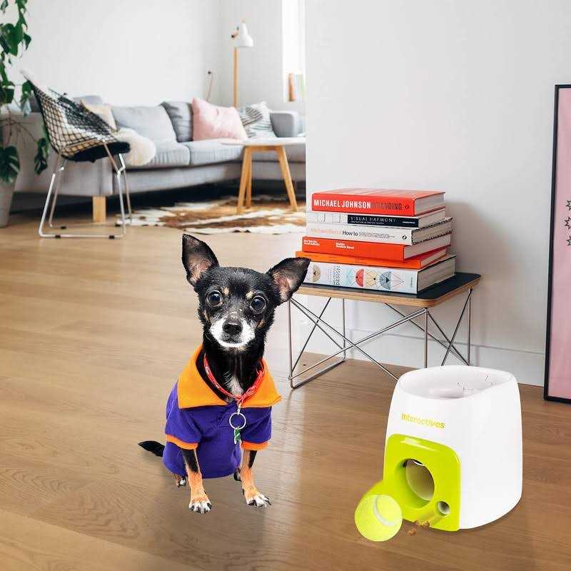 All for Paws Interactive Fetch-N-Treat Dog Toy - Nail Gallerys