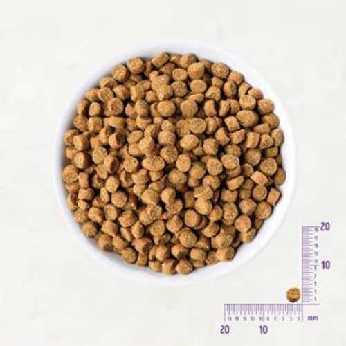 Wellness CORE Natural Grain Free Small Breed Dry Puppy Food - Nail Gallerys