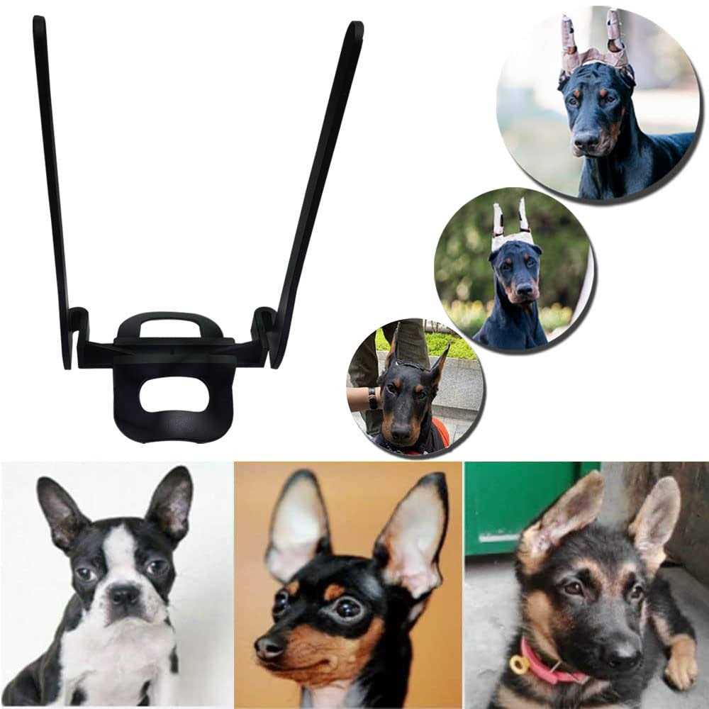 Dandelion Dog Ear Posting Kit Dog Ear Stand Up Support - Nail Gallerys