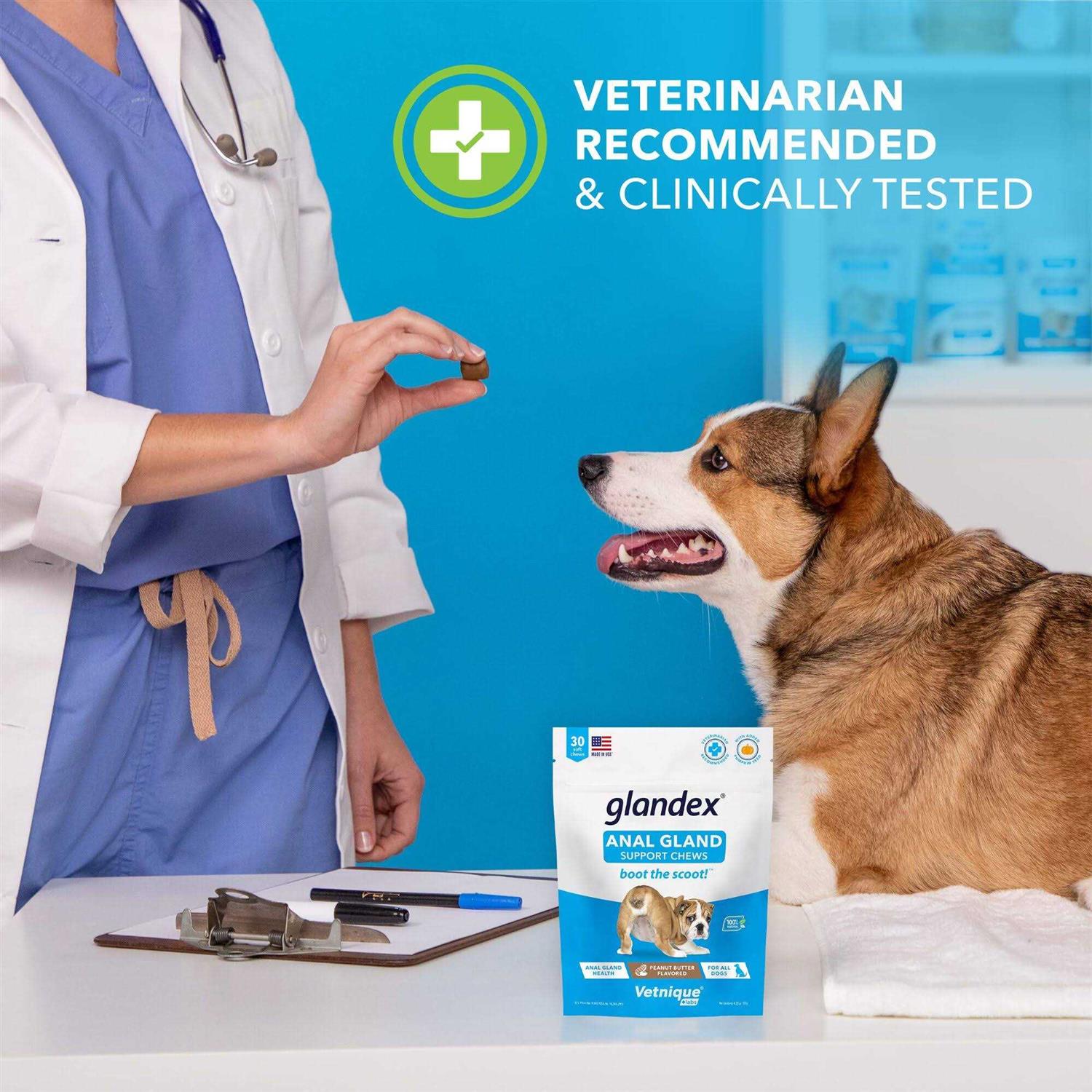 Glandex Anal Gland Soft Chews Supplement for Dogs - Nail Gallerys