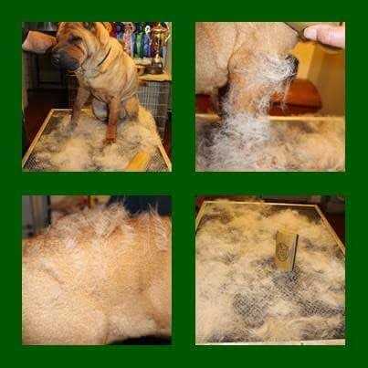 SleekEZ Grooming Tool - Nail Gallerys