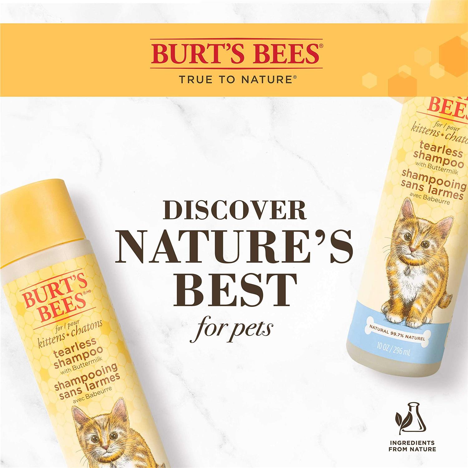 Burt’s Bees Tearless Shampoo for Kittens with Buttermilk - Nail Gallerys