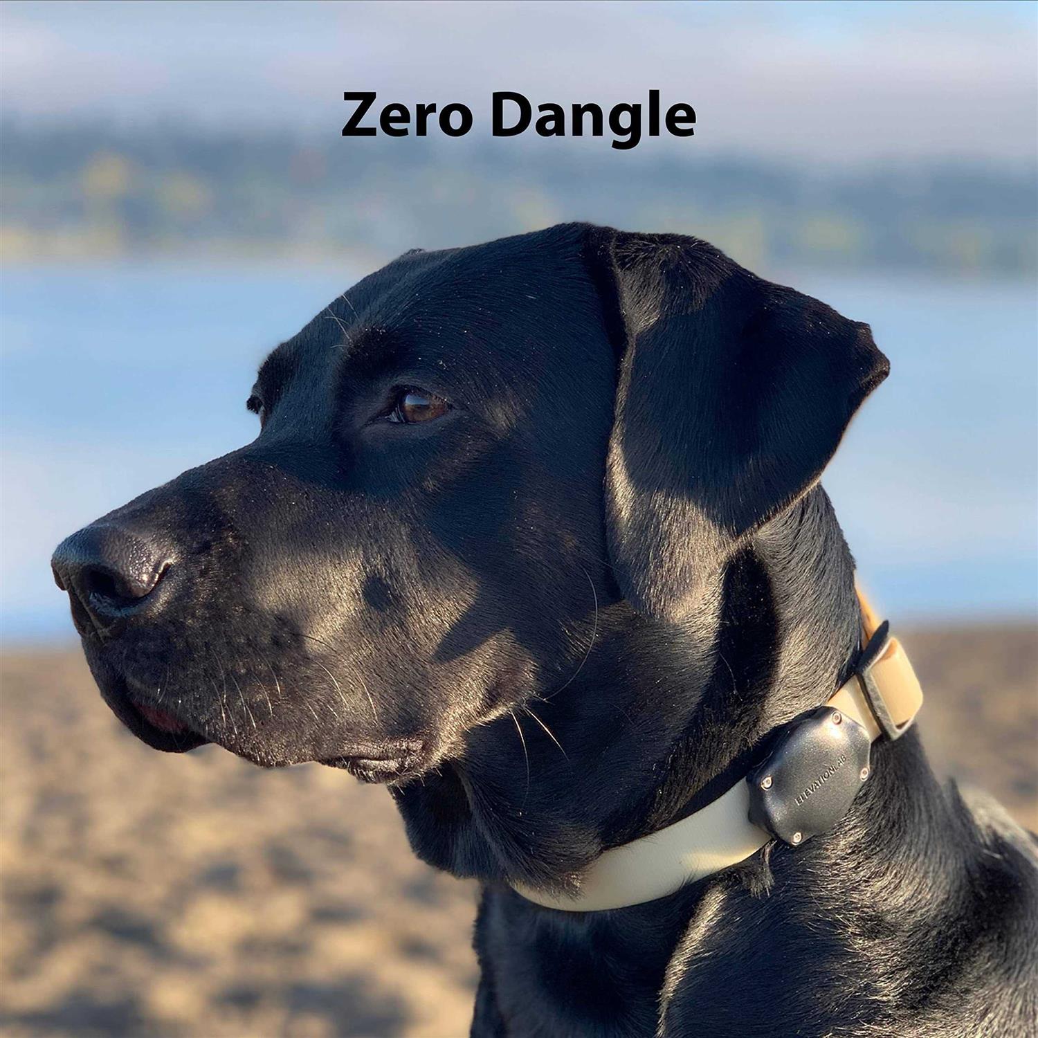 Elevation Lab TagVault Pet The Original AirTag Dog Collar Waterproof Mount - Nail Gallerys