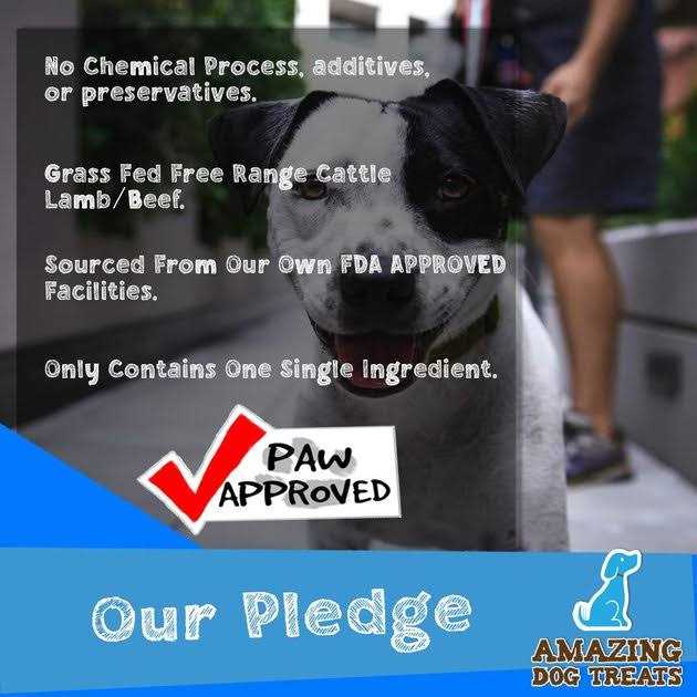 Amazing Dog Treats Beef Cheek Rolls - Nail Gallerys