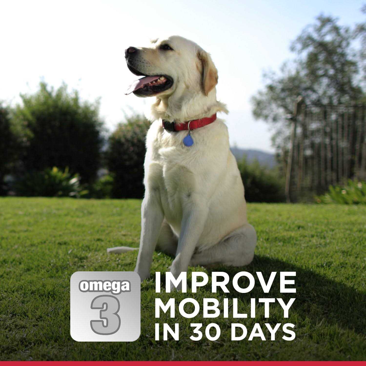 Hill’s Science Diet Adult Healthy Mobility Small Bites Dog Food - Nail Gallerys