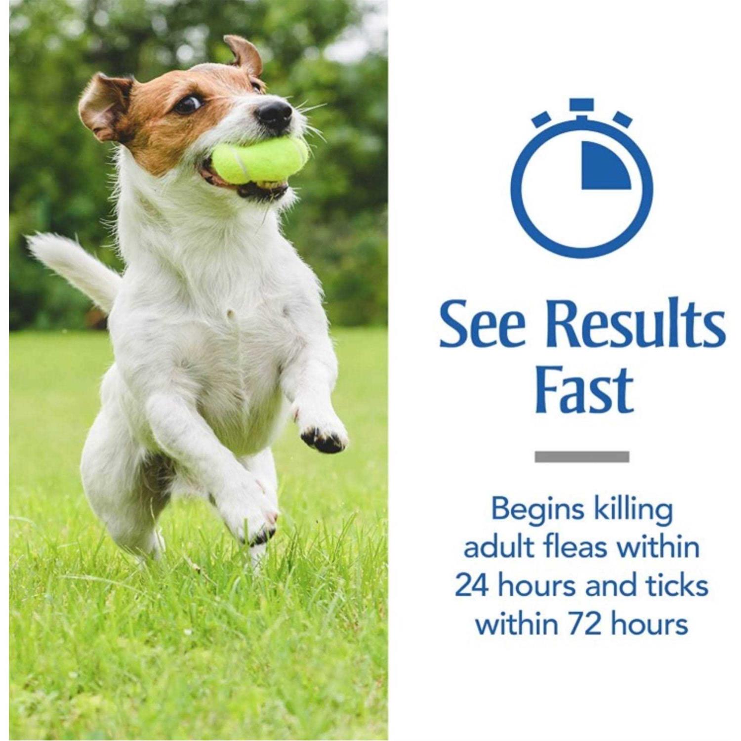 PetArmor Plus Oatmeal Shampoo for Dogs - Nail Gallerys