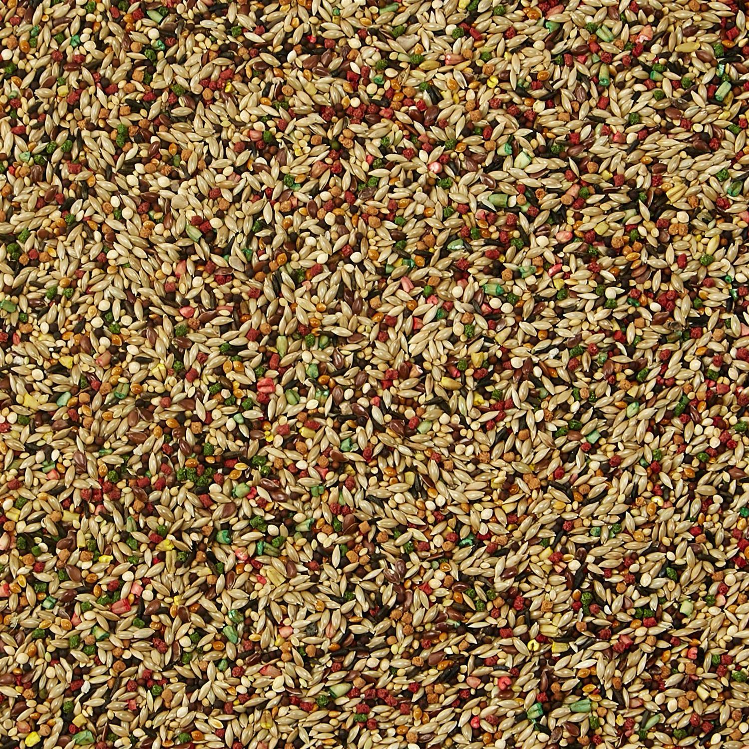 Kaytee Forti Diet Pro Health Canary Finch Food - Nail Gallerys