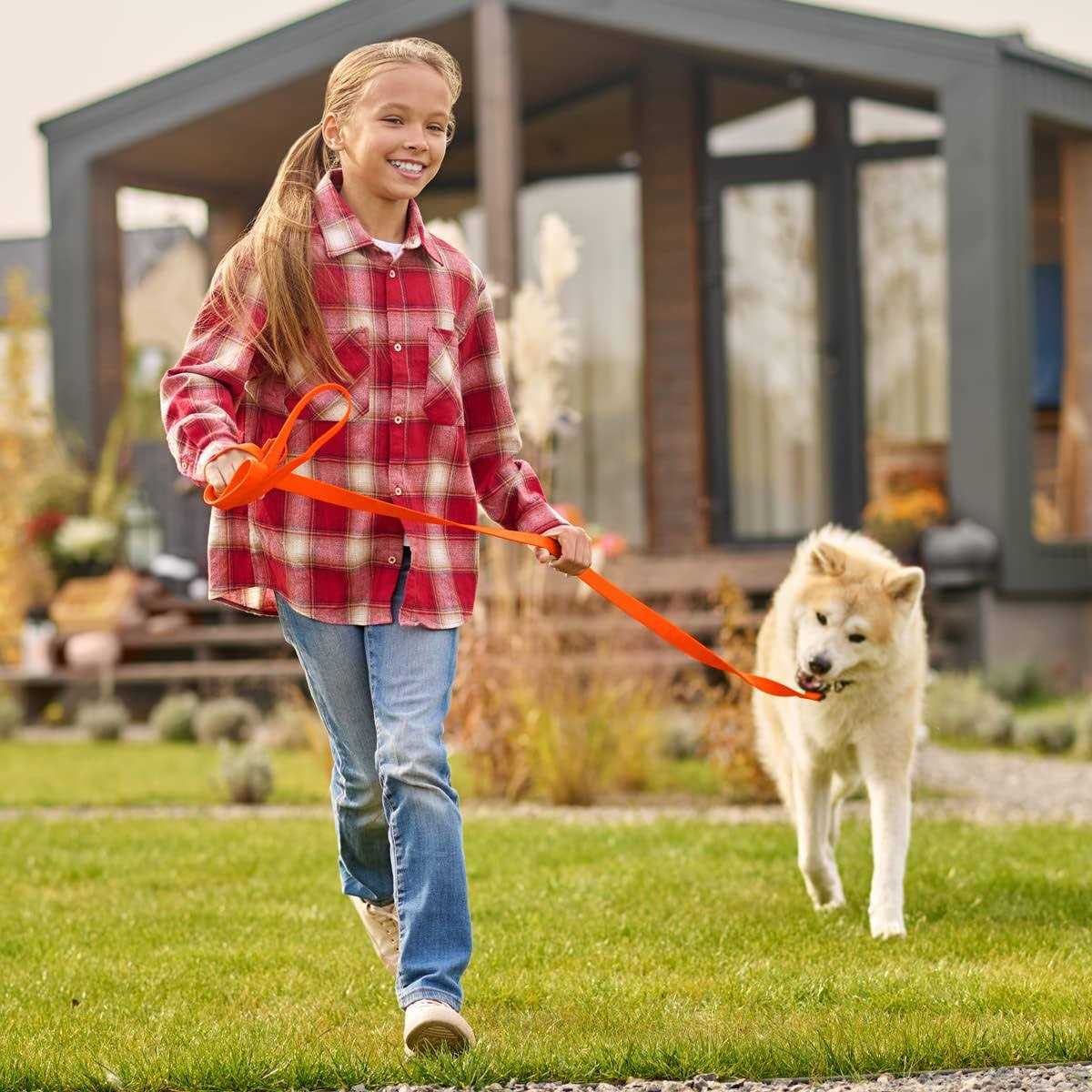 Viper Biothane K9 Working Dog Leash Waterproof Lead for Tracking Train - Nail Gallerys