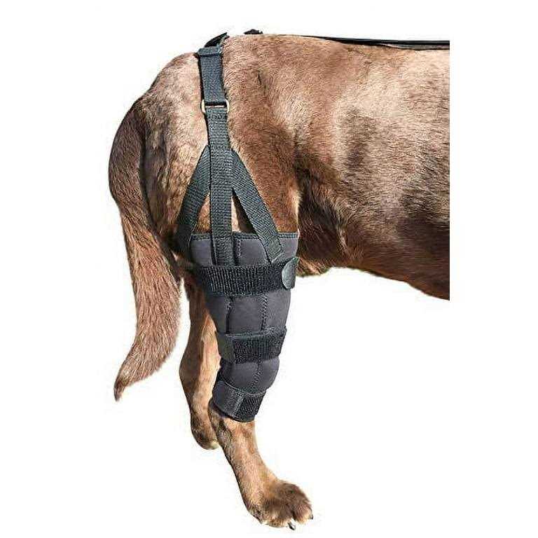 Labra Dog Canine K9 Knee Stifle Brace Wrap Metal Hinged Flexible Support Treat ACL CCL Luxating Patella Cruciate Ligament Sprain Strain Tear Injuries - Nail Gallerys