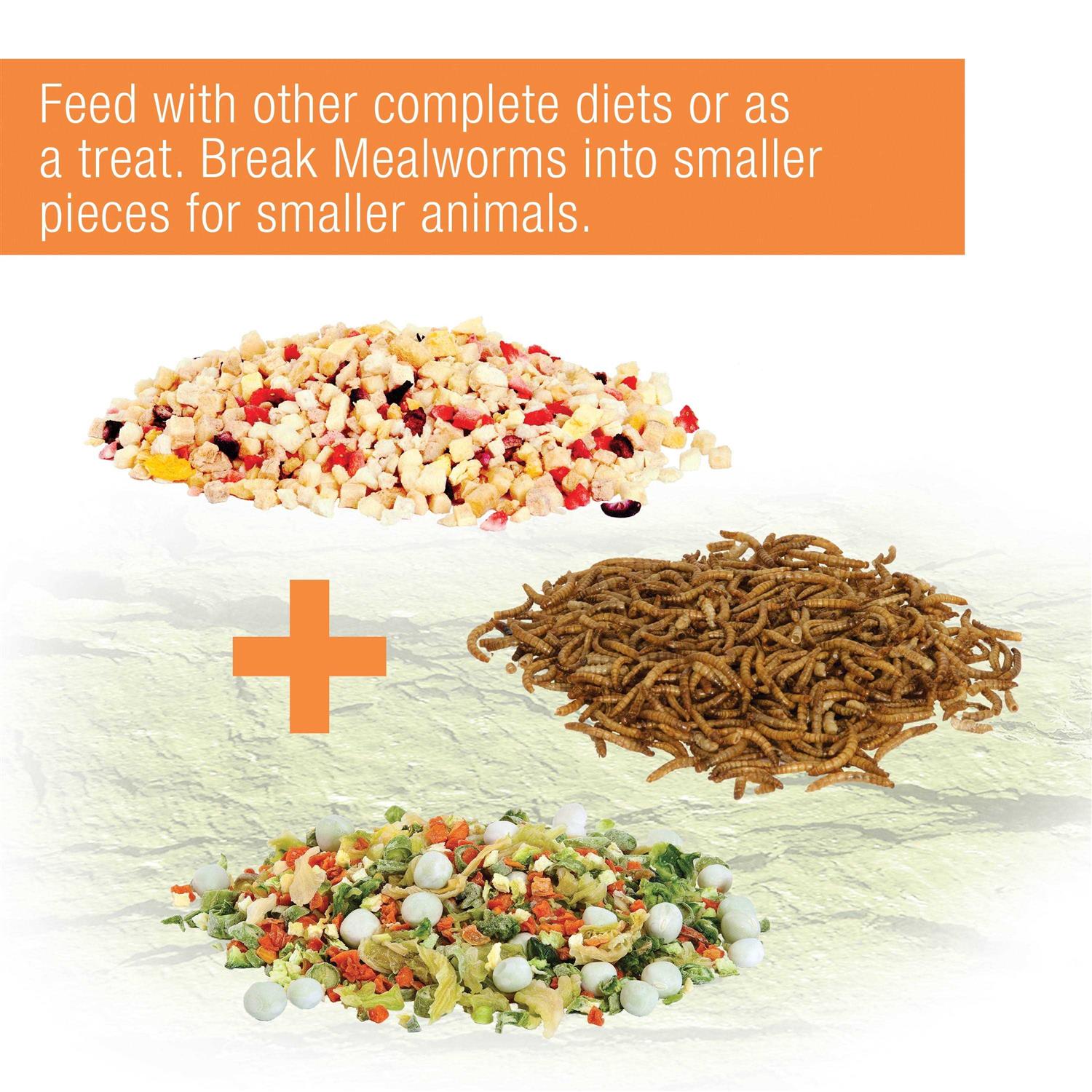 Zilla Munchies Mealworms Reptile - Nail Gallerys