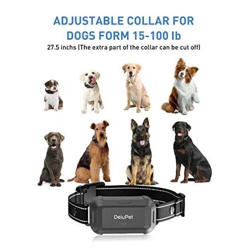 delupet Dog Training Collar Dogs Shock Collar with Remote 2600FT - Nail Gallerys