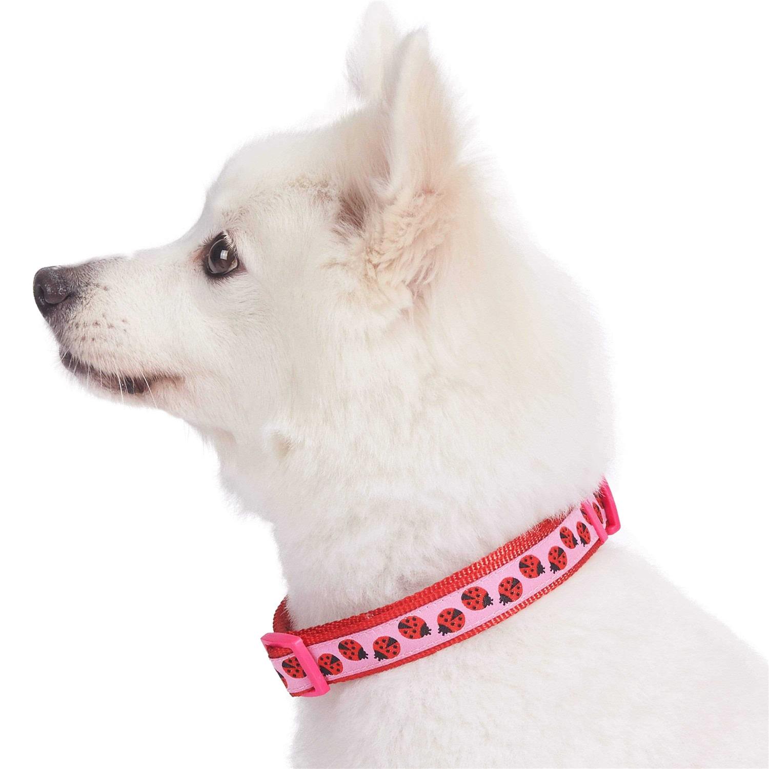 Blueberry Pet Dog Collar - Nail Gallerys