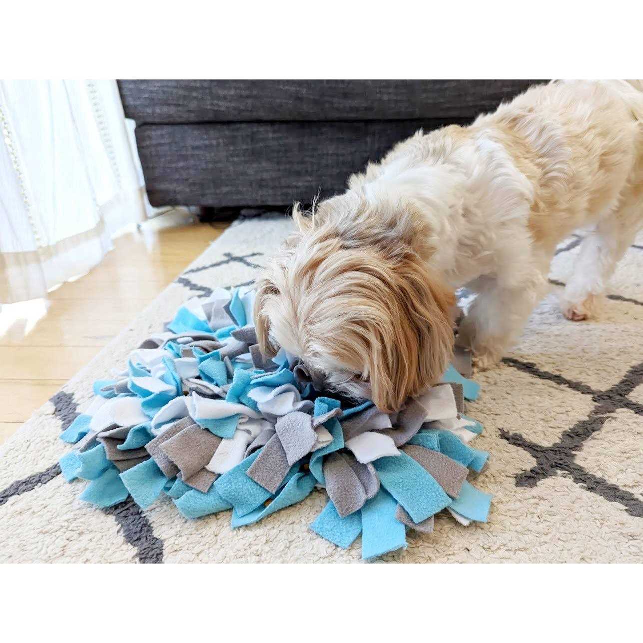 fouFIT Hide ‘n Seek Snuffle Mat Dog Toys - Nail Gallerys